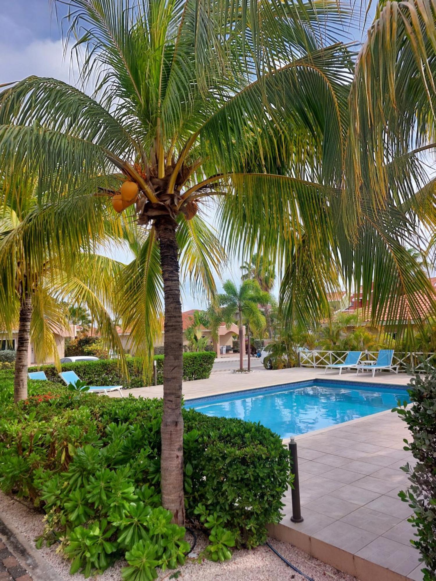 Caribbean Beach Resort Blenchi Curacao Willemstad Ngoại thất bức ảnh